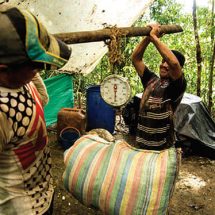 Narcoestado en Colombia ¿Cómo superarlo?